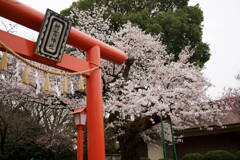 村富神社