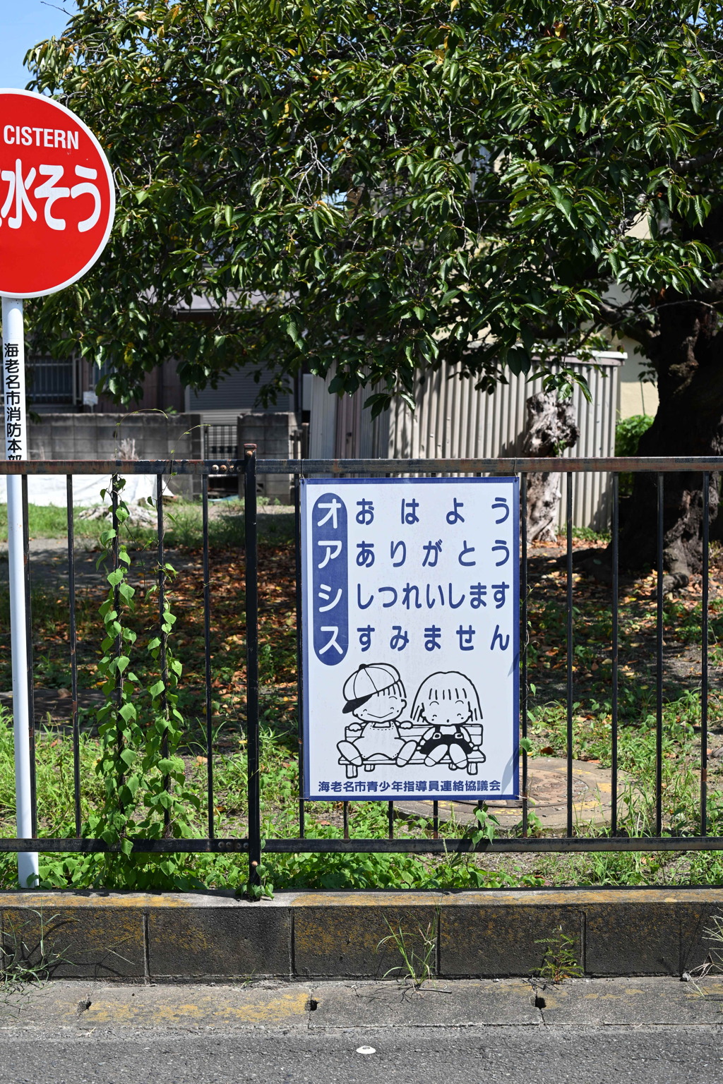 オアシス