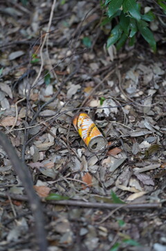 リボンオレンジ