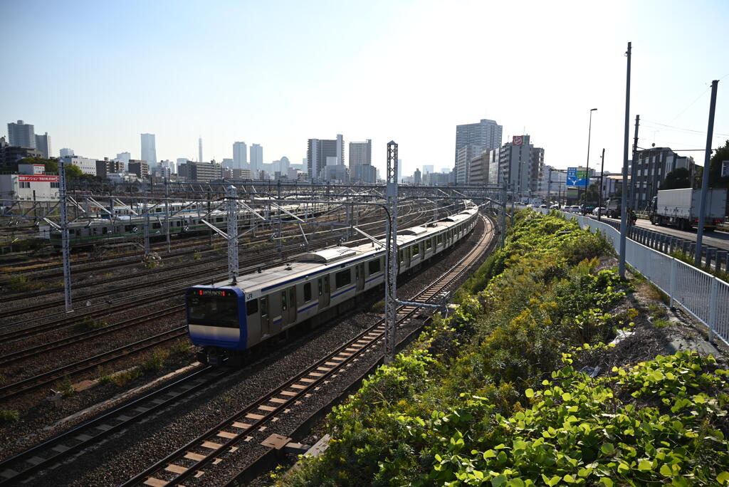 横須賀線