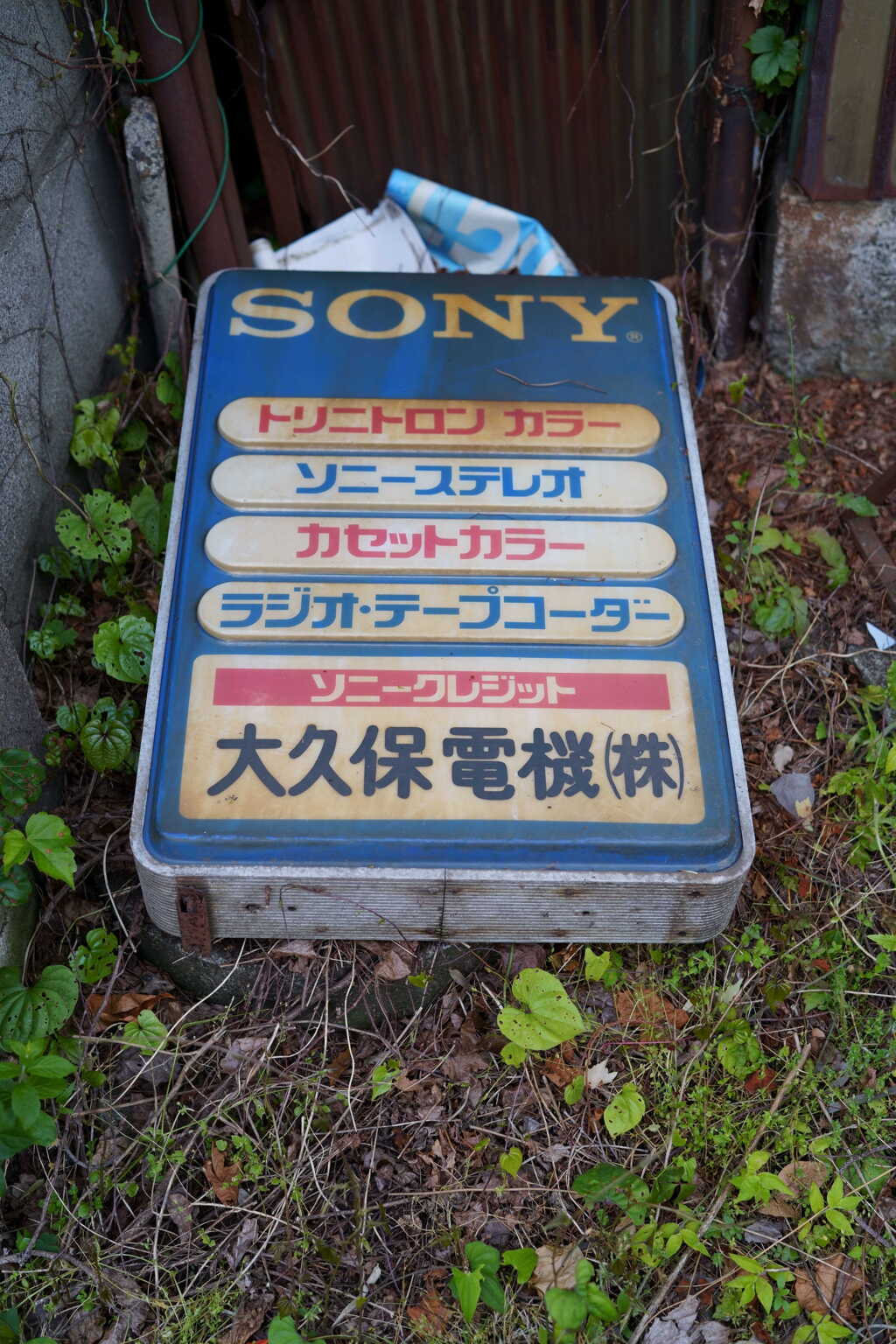 Sony