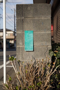 50％オフ