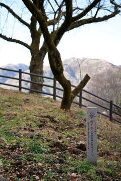 津久井湖城山公園