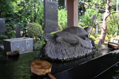亀ヶ池八幡宮