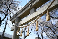 村富神社