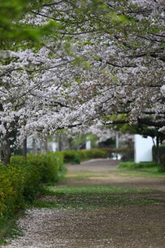 公園