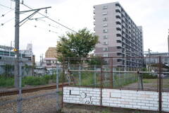フェンスドッグ