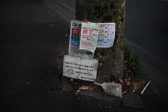 風物詩