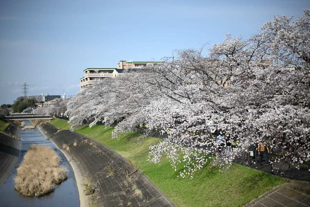 乞田川