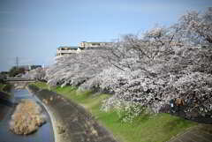 乞田川