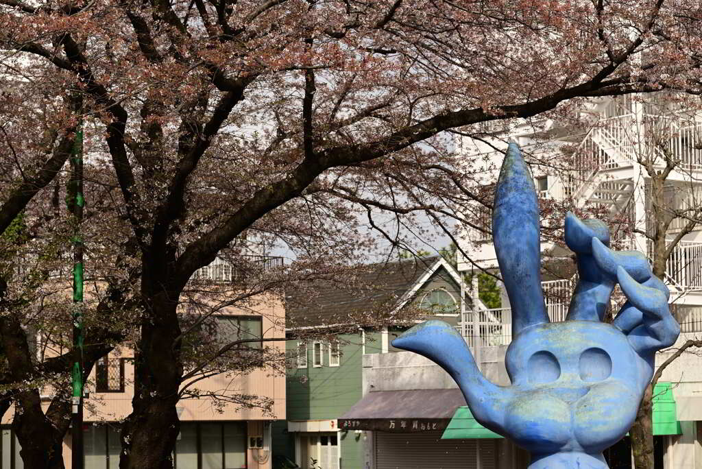 桜・青い手
