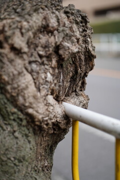 結合