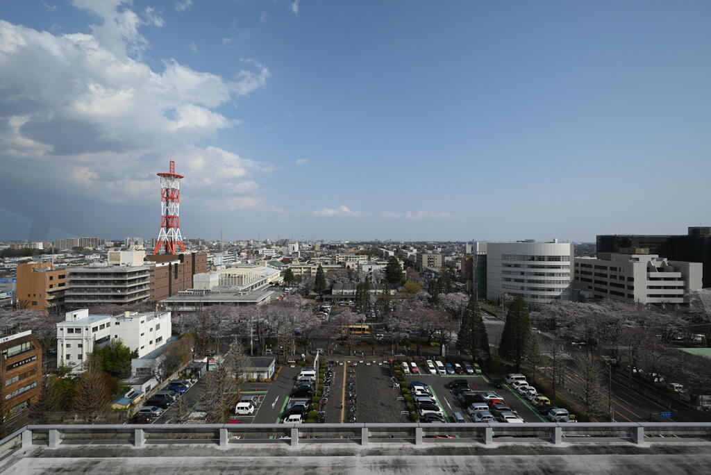 市役所展望台