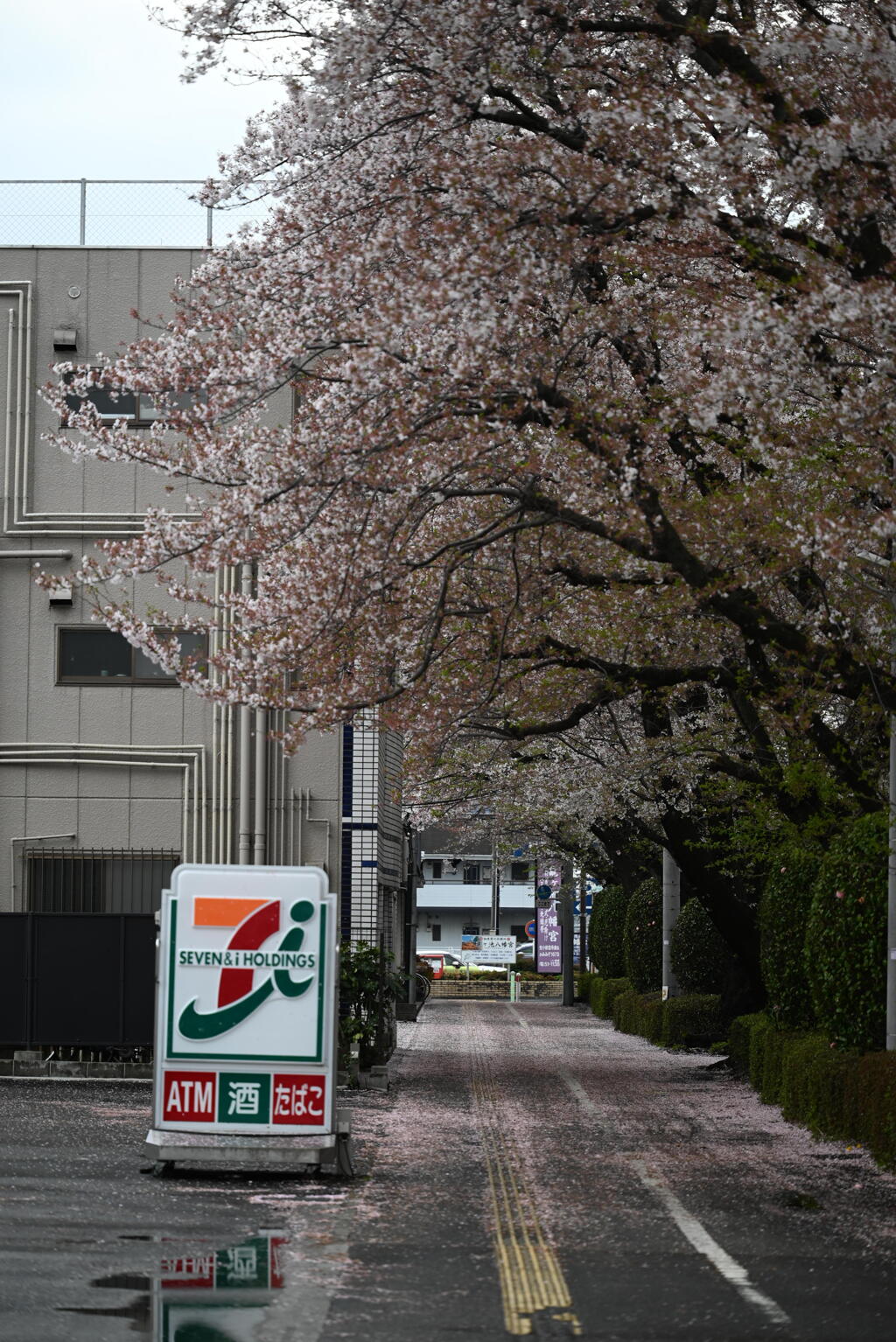 雨上がり