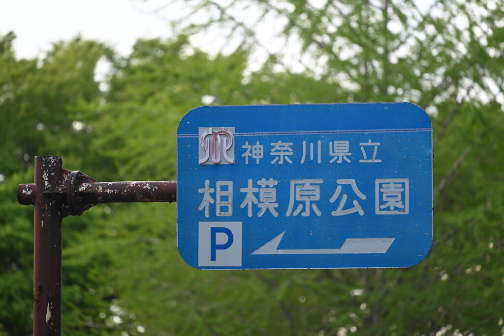浮き出る県章