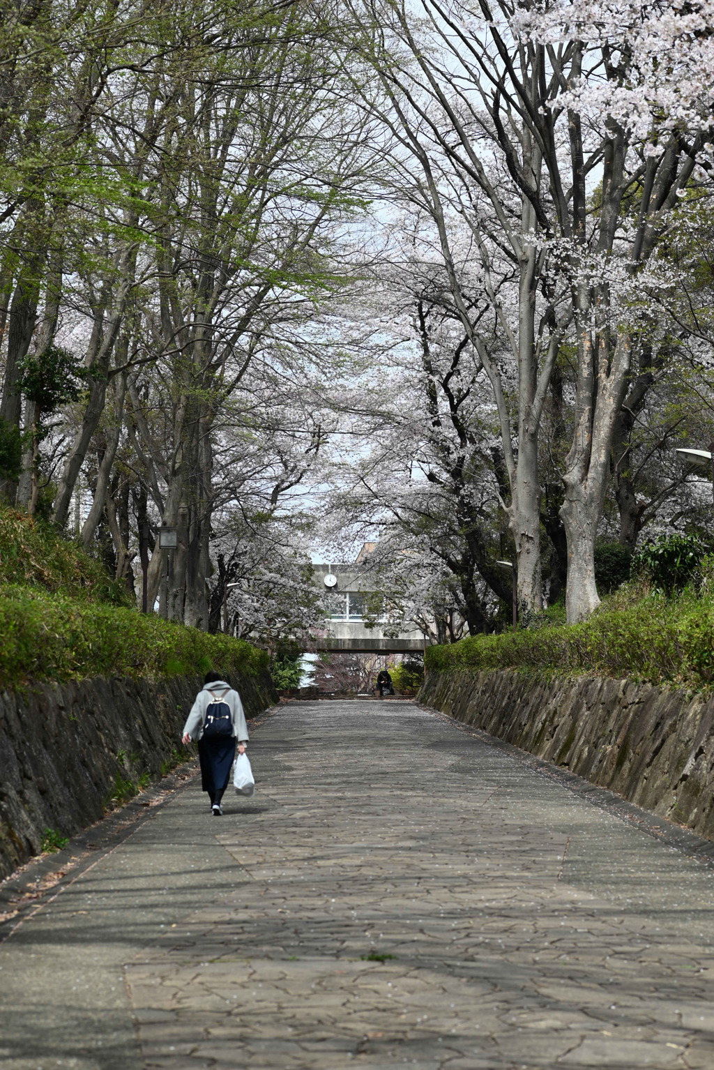 上溝中学校への道