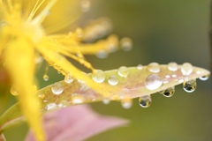 雨上がりの公園にて