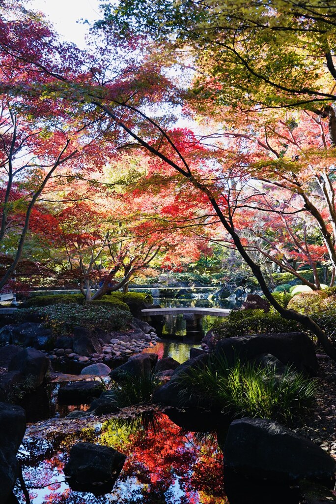 晩秋の庭園