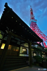 東京タワー夕景