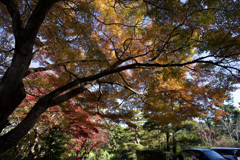 DSC02497
