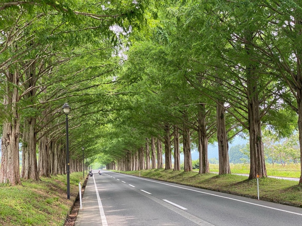 89BE0702-3097-4A4E-B2B1-D7FCF7EA611F