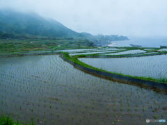 001袖志雨