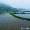 001袖志雨