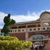 Welcome to TDR!!
