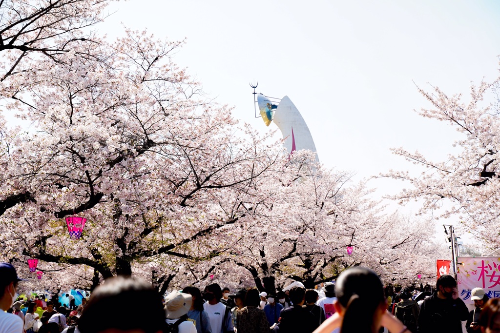 万博公園桜まつり2023