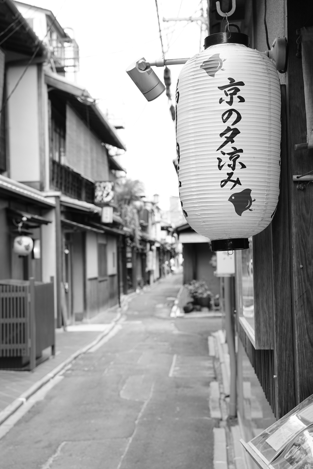 ぶらり先斗町