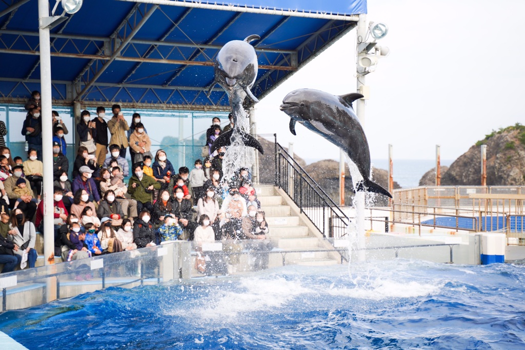 ジャンプ
