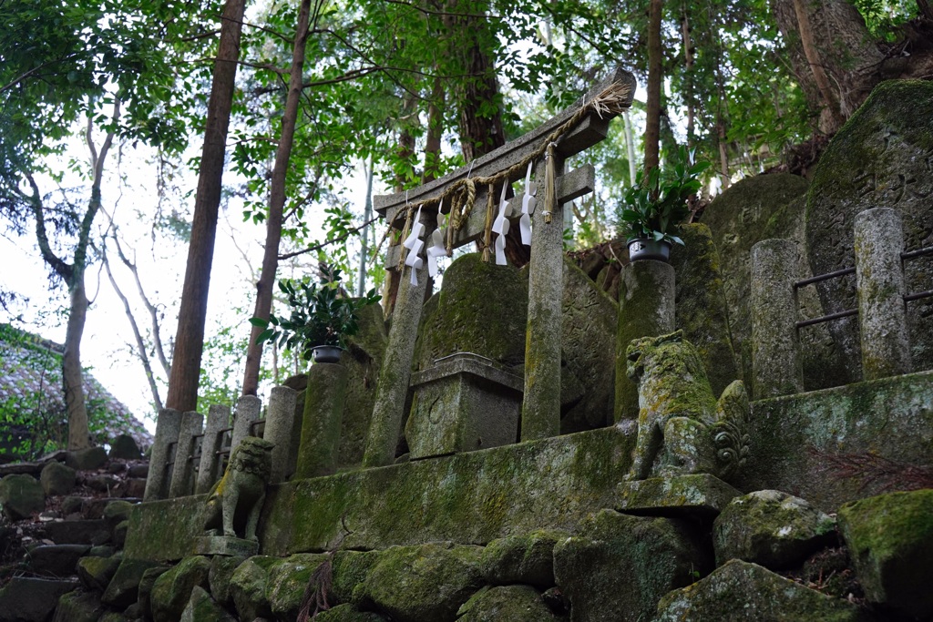 生駒山宝山寺付近