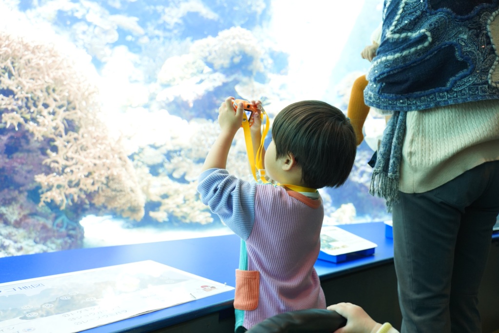 ちびっ子カメラマン
