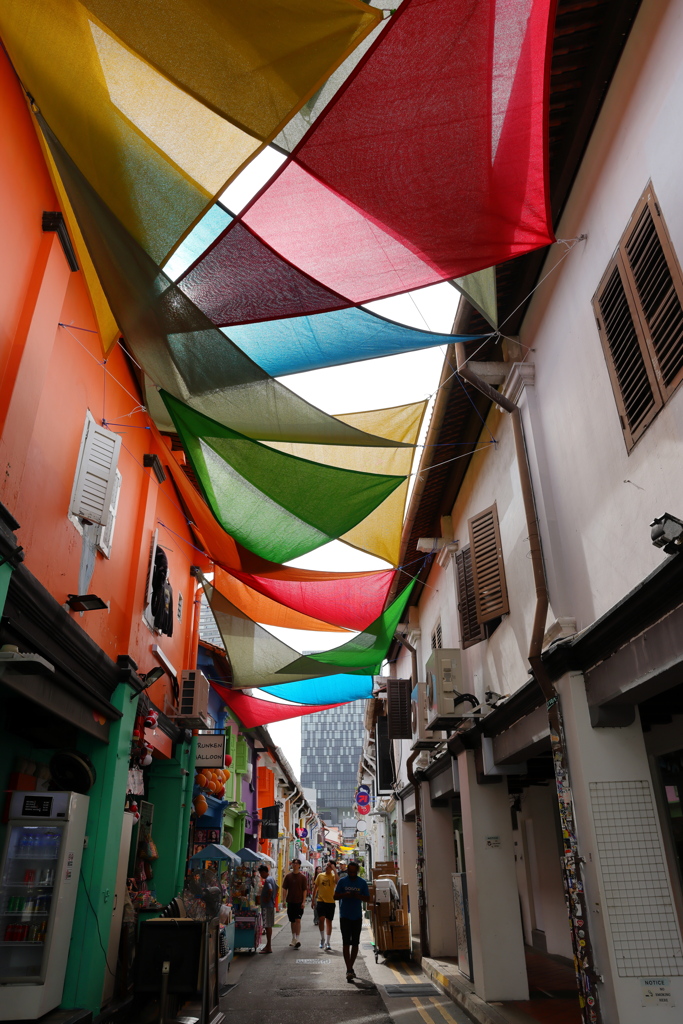 カラフルなハジレーン