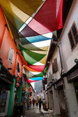 カラフルなハジレーン