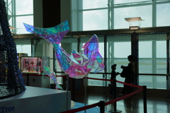 クジラ？イルカ？