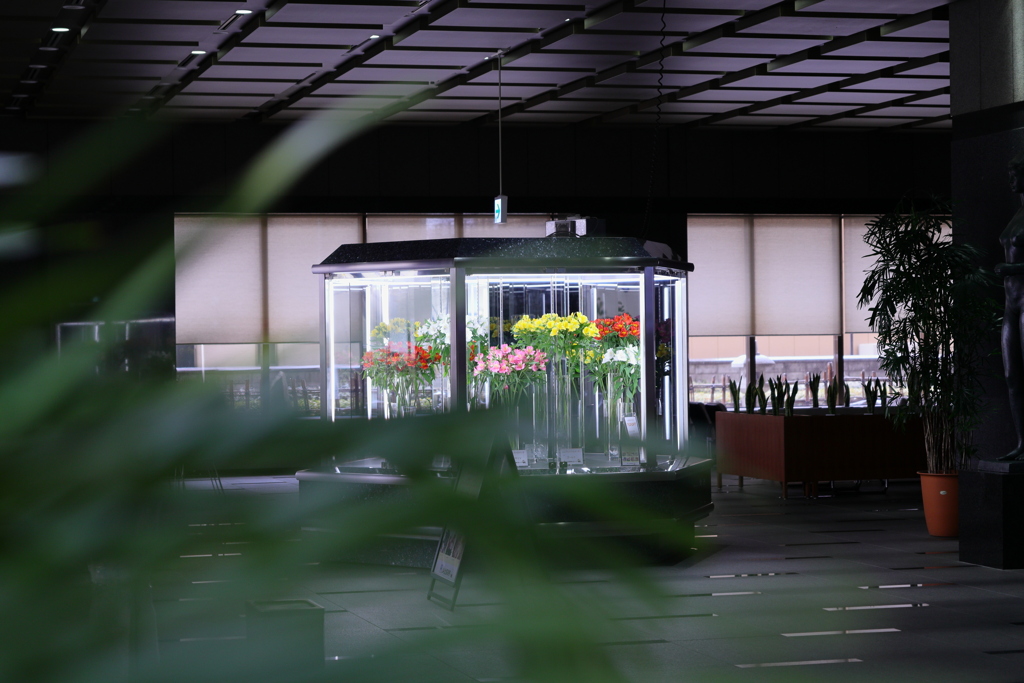 休日のホール