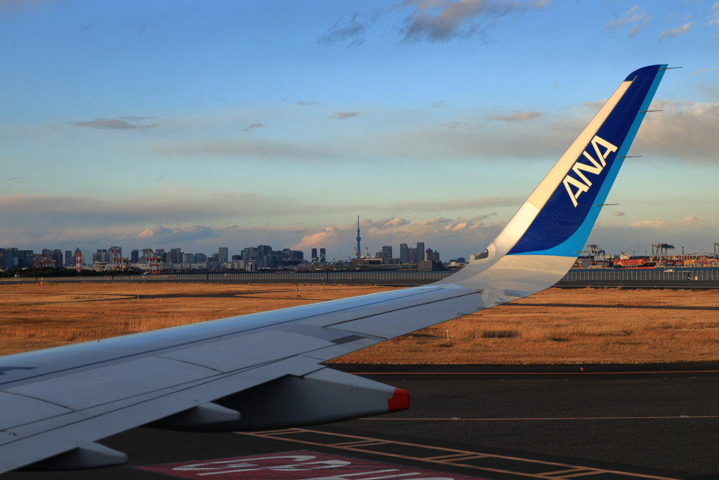 東京スカイツリーと翼