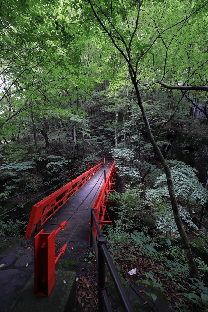 鹿飛橋