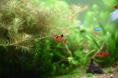 1番寄ってみた