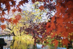 20BACD78-CF8E-49C2-8252-DE94C1CF7BE3