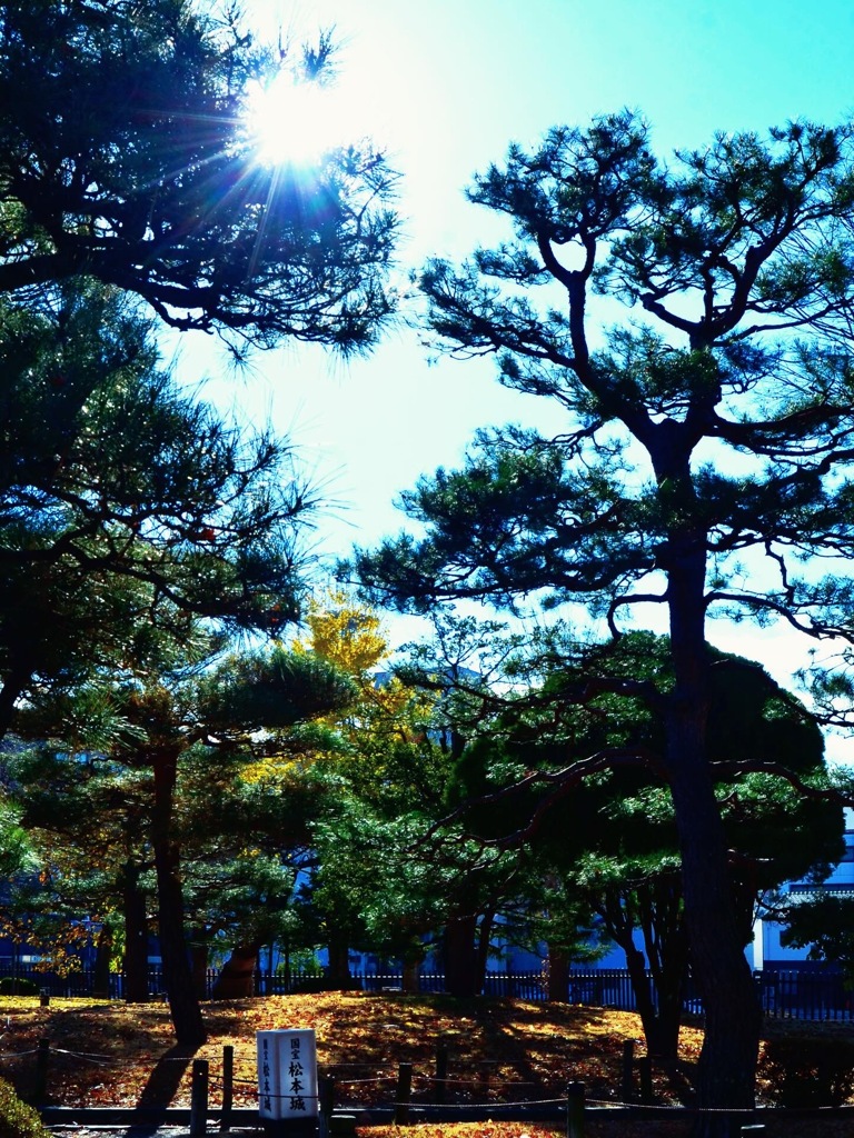 D9870205-C32A-4184-BEDB-F09BA0794992