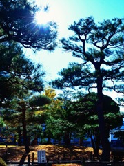 D9870205-C32A-4184-BEDB-F09BA0794992