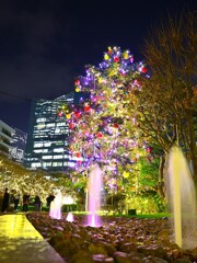 イルミネーション