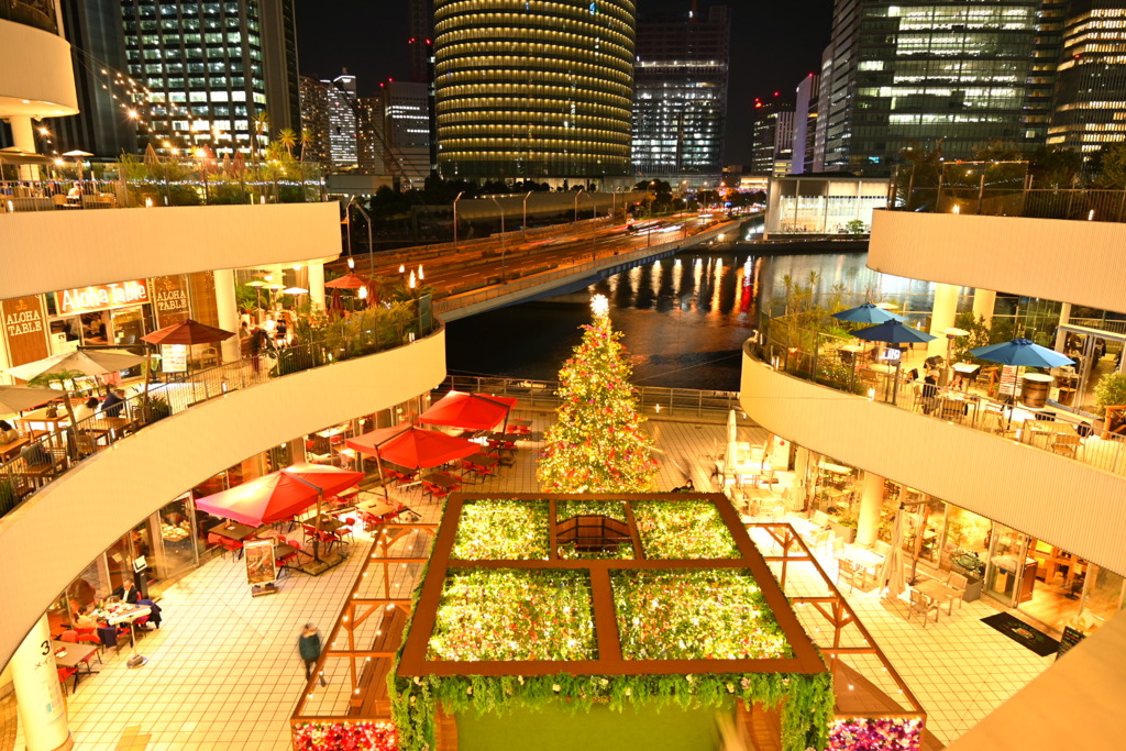 クリスマスツリー2022