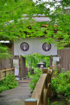 HDRにて　社寺へ