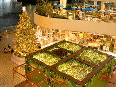 クリスマスツリー2022