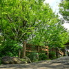 社寺