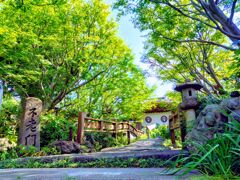 寺の朝