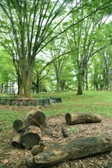 湧き水を求めて